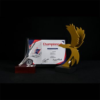 Troféus e diploma de reconhecimento na magia